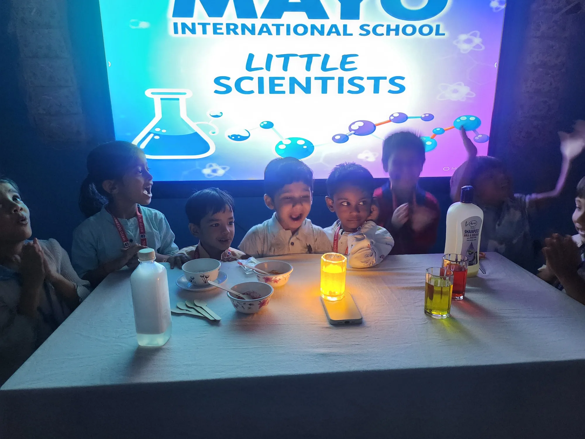 Little Scientists of Mayo