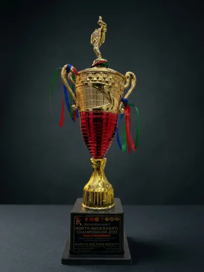 Gold and red trophy with ribbons, Appreciation Award North India Karate Championship 2023